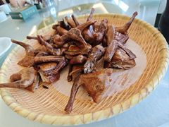 -五谷芳乳鸽王(海景店)