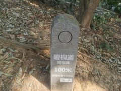 -梧桐山风景名胜区