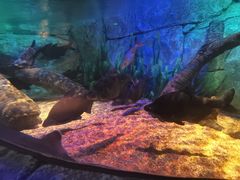 -沈阳海洋探索中心