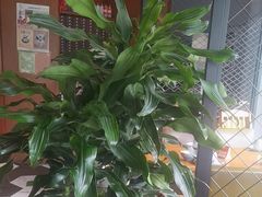 -盐帮食坊•小河帮川菜(四川师大店)