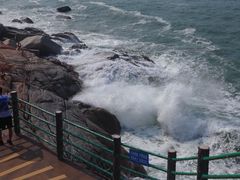 -广东惠东海龟国家级自然保护区