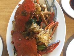 -ZF Seafood Restaurant 卓峰海鲜餐