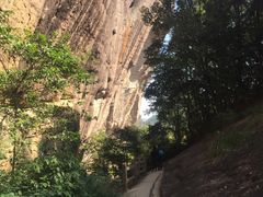-武夷山风景名胜区-虎啸岩