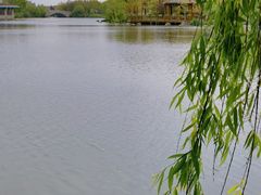 -上海怡沁园度假酒店