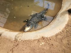 -西霞口神雕山野生动物世界
