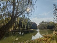 -梁鸿国家湿地公园