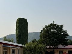-大鹅岛灶台鱼·铁锅炖(水库路店)