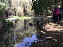 -北京麋鹿生态实验中心