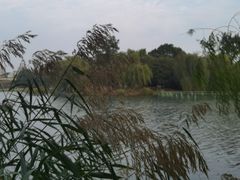 -浙江大学(紫金港校区)