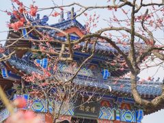 -梅花山(明孝陵内)