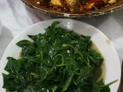 -明升萝卜汤