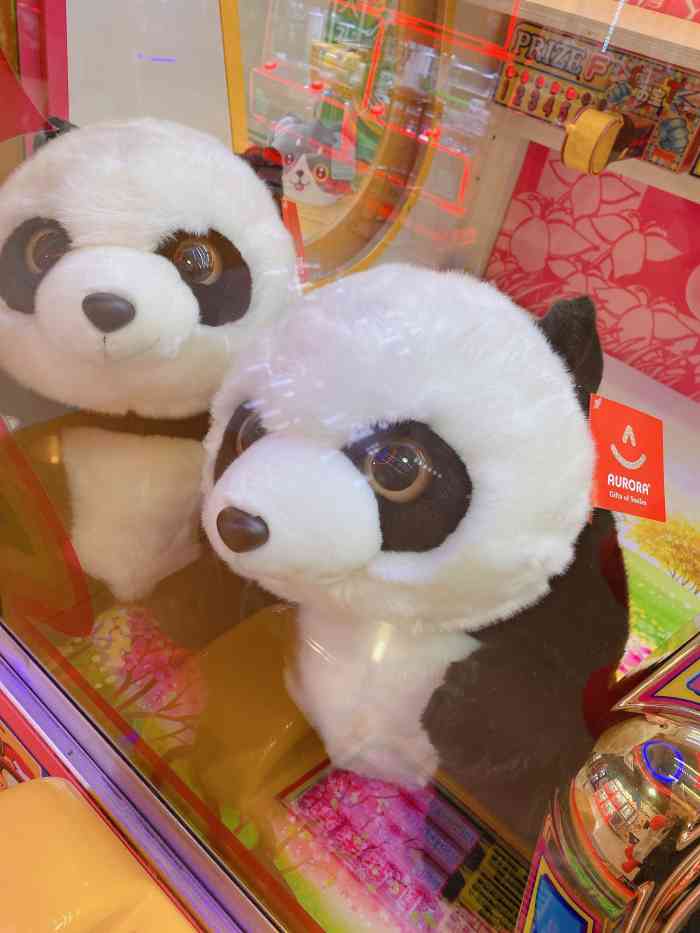 汤姆熊(虹桥南丰城店)-"酒足饭饱,找个地方消消食.哈哈,汤姆熊游.