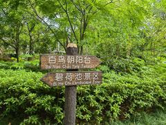 -汇龙潭