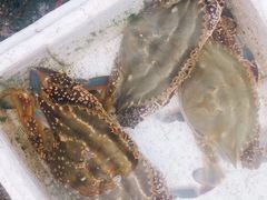 -青岛沙子口国家中心渔港