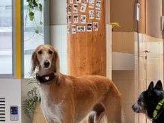 -omitofee咖啡(水泽店)