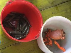 碧波海鲜舫-蓝湾碧波·老字号·疍家非遗海上餐厅