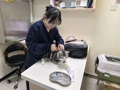 -全心全意连锁动物医院·微创中心·内科急重症·心脏专科(丰管路店)