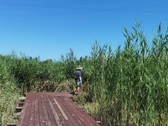 -永定河休闲森林公园