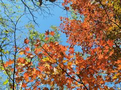 -玉渡山自然风景区
