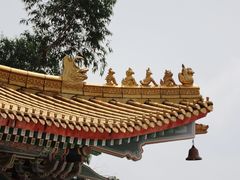 -广东圆玄道观