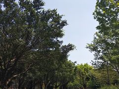 -大渡口区义渡公园