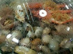 -睿柏云酒店-餐厅