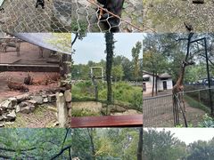 -杭州动物园