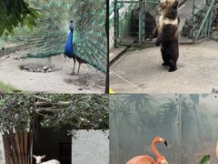 -长鹿旅游休博园