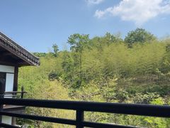 -大唐贡茶院