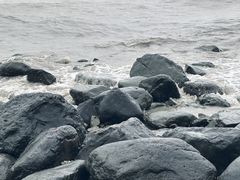 -上海吴淞炮台湾国家湿地公园