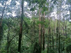 -水濂山森林公园