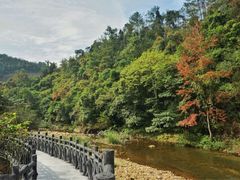 -广州市石门国家森林公园