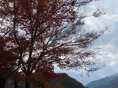 -崂山九水游览区