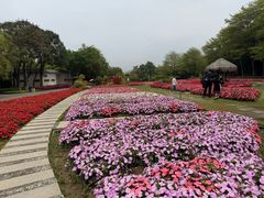 -厦门园林博览苑
