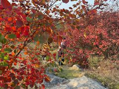 -青州市云门山风景区