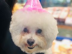 -巴黎贝甜·生日蛋糕(环球中心店)