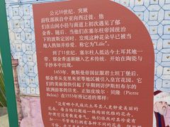 -荷兰花海