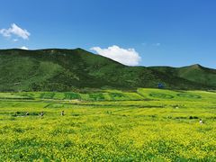 -扁都口生态休闲旅游区