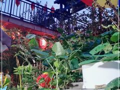 -鱼乐岛餐厅·户外花园主题餐厅