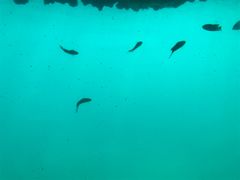 -亚龙湾海底世界