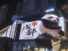 -合景·悠方(成都店)