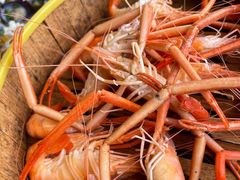 -百里鲜(羚羊峡古栈道森林公园店)