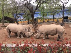-西安秦岭野生动物园