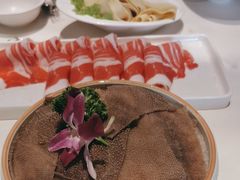 -蒙都43°9羊火锅·赤峰美食(宁城店)