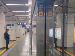 -大望路(地铁站)