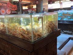 -紫阳海鲜楼·传承闽味(长乐路总店)