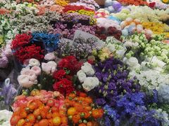 -双季花艺园艺市场(浦东店)