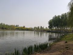 -东郊湿地公园