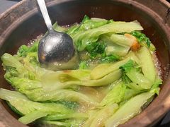澳门虾酱啫农场生菜-小炳胜(卓悦中心店)