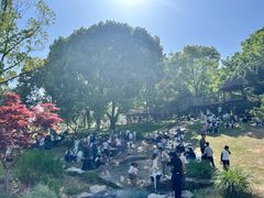 -宁波儿童公园(鄞州区)